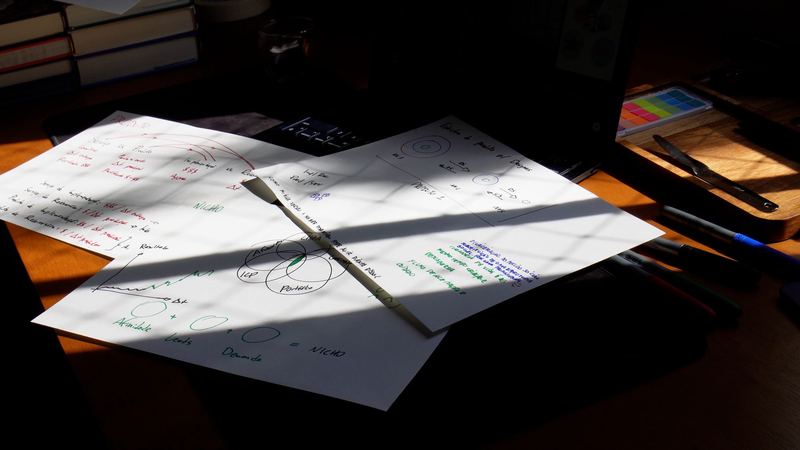 Folhas com anotações de nicho e processo comercial sobre a mesa, sob a luz da janela